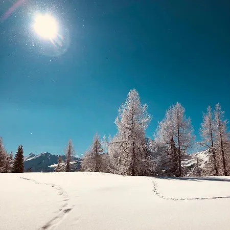 Apartmán Felix Mariapfarr