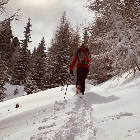 Apartmán Felix Mariapfarr