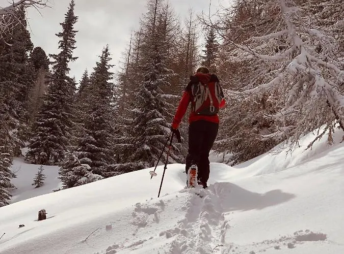 Daire Felix Mariapfarr